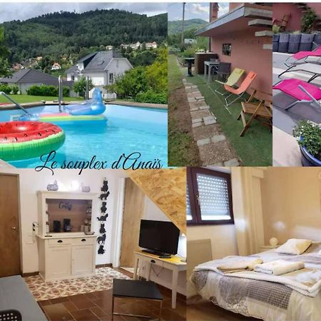 Le Souplex D'Anais Bed & Breakfast Schirmeck Exterior photo