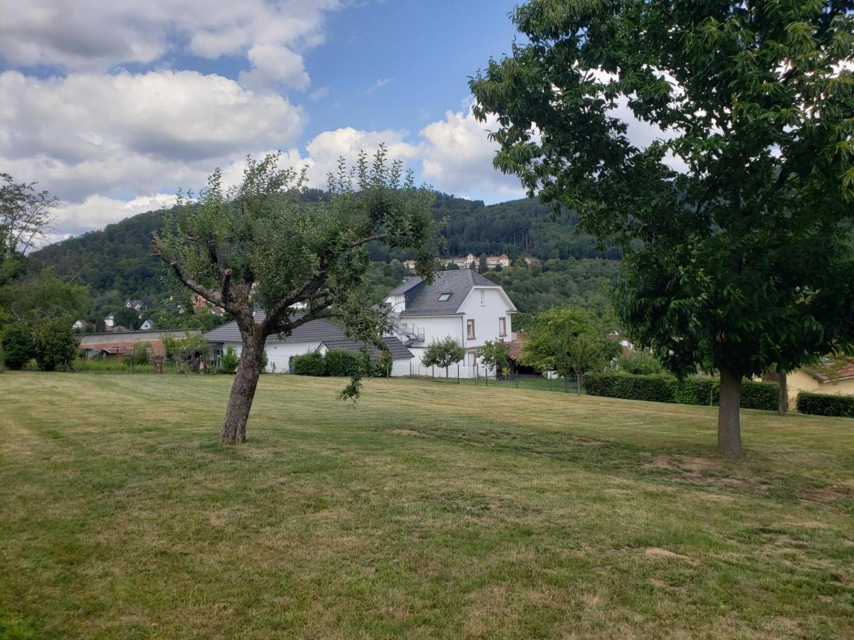 Le Souplex D'Anais Bed & Breakfast Schirmeck Exterior photo